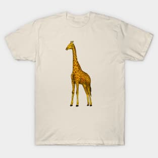 Giraffe T-Shirt